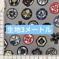 生地　3メートル　同封不可