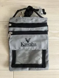 Item thumbnail for item 7f089759-55c8-406b-9da9-3633ee0d3c8b