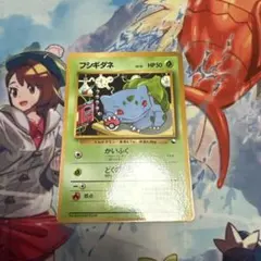 【旧裏】フシギダネ イントロパック