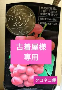 古着屋様 リクエスト 2点 まとめ商品