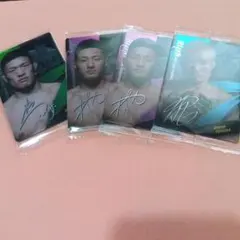 Item thumbnail for item 463623d6-deca-4be7-9e67-78690825ef30