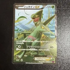 PSA8】ジュカインEX 英語 84/98 Sceptile - メルカリ