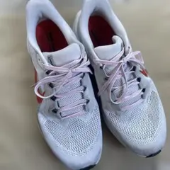 NIKE Pegasus ランニングシューズ ホワイト