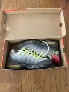 Nike Air Max 95 イエロージャンク　　復刻 加水分解 観賞用