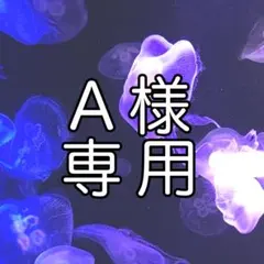 A様 専用ページ