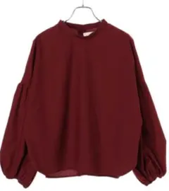 earth music&ecology ハイネックボリュームスリーブブラウス