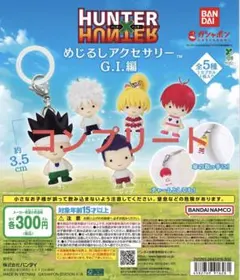 ハンターハンター ガチャ めじるしアクセサリー グリードアイランド