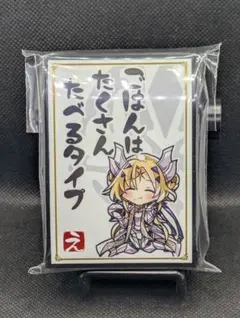 新品未開封】エクレシア ごはんはたくさんたべるタイプ 教導スリーブ