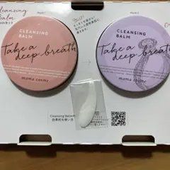 Item thumbnail for item 0ffa58e7-00bf-4a80-a23d-9063247a9604