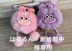 はるるん　断捨離中　様専用⭐︎