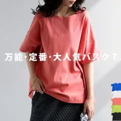 antiqua　バスクTシャツのサムネイル