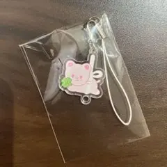 Straykids スキズ ペンミ ジニレット ヒョンジン ストラップ 入場特典