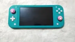 Nintendo Switch Liteターコイズ本体動作品肉球カバーアダプター