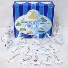 ディズニー ネームタグ キーホルダー 6点セット 東京ディズニーリゾート