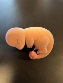 ポケモンスリープ フィギュア ヒトカゲ