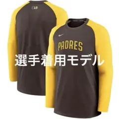 Item thumbnail for item a7c41f1c-4122-495b-90bc-981cd50260e3