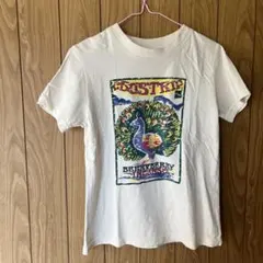 Item thumbnail for item 8d5ae310-9cec-4558-be93-8fae7e6fa091