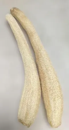 Item thumbnail for item 1aec4aeb-9088-472b-9a10-b8c0f2e15603