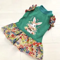 莇助★様専用 ハンドメイド 犬服 グリーンスラブ天竺ニット×リバティー肩フリル