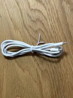 新品未使用 iPhone純正 ホワイト USB-C 充電ケーブル