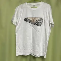 Item thumbnail for item 1a708581-7a69-48af-80ec-52e96e37f0c1