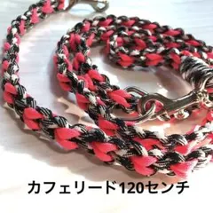 新品　犬　カフェリード⑥