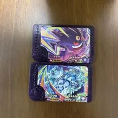 ポケモンフレンダ　ゲンガー テラパゴス2枚セット