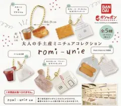 Romi Lacatanモデル 洋服のおまけ付き♪ 会話AIロボット Romi (Lacatan モデル) – Romiストア