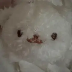 ポメラニアンもち ふわふわぬいぐるみ しらたま ガチャガチャ