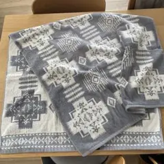 Item thumbnail for item 30bb7fc7-8750-4d07-9e78-2ab9a93eb5b2