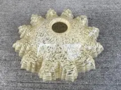 フレンチカントリー アメリカンカントリー 陶器シェード ペンダント