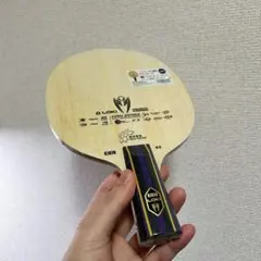 Item thumbnail for item 74ecabae-6585-4b94-8c33-caebd5b56b19