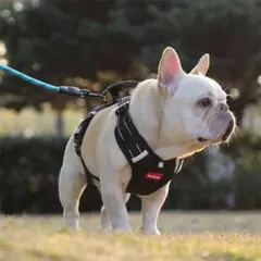 Item thumbnail for item 78373adc-8039-4c1a-b5eb-f8a601f94bbc