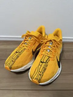 ナイキ ズームペガサス プラス　28.5cm