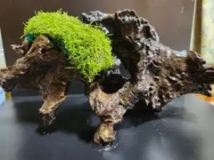 じゃい様 リクエスト 2点 まとめ商品