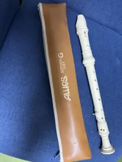 新品★AULOS ソプラノリコーダー G302A ホワイト ケース・備品付き 新品☆AULOS ソプラノリコーダー G302A ホワイト ケース・備品付き
