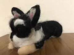 Item thumbnail for item e61daa25-9893-4a35-b749-1bb243c13564