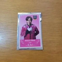 超特急 カイ エビライ ランダムトレカ