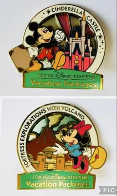 ディズニーリゾートバケーションパッケージ参加者限定ピンバッジ２個セット