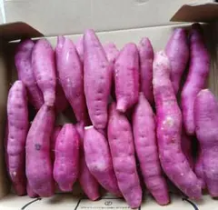 宮崎の新物さつまいも約1.2kg ミニミニサイズ お店では販売していないサイズのサムネイル