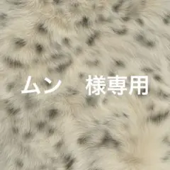 専用