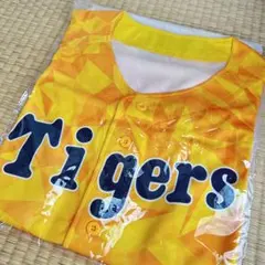 Item thumbnail for item 6512d885-8058-4565-8ae9-cc6b0a3f9ef0