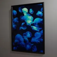 Item thumbnail for item 83c83304-32d2-4c9c-bd1f-1dd720ddd99f