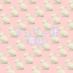 ちぇりー様専用