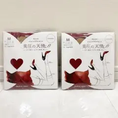 【新品】 Kanebo 美圧の天使 2足セット ベージュ タイツ ストッキングのサムネイル