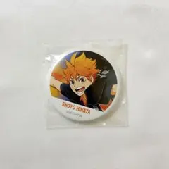 ハイキュー!! 缶バッジコレクション 日向翔陽