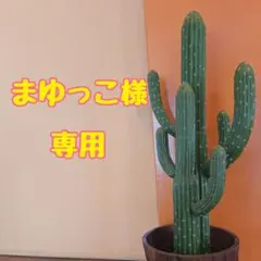 まゆっこ様★専用★