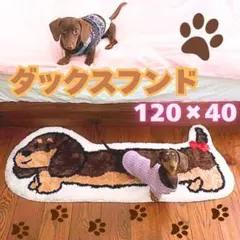新品 玄関マット ラグ ミニチュアダックス マット 犬 ダックスフンド