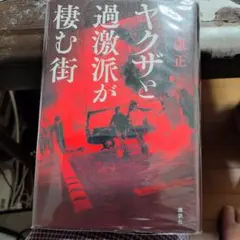 最終値下げヤクザと過激派が棲む街ビニールカバー有り中身は綺麗