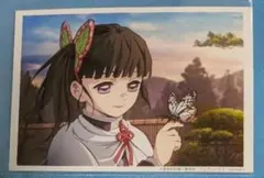キティフィルム作品 らんま1/2 九能小太刀 セル画 原画動画セットA77 